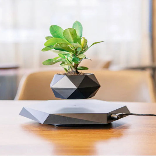Levitating Plant Pot | Air Bonsai: Magnetic Suspension Floating Potted Flower Planters for Rotating Home Décor